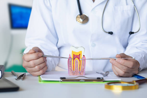 Best Walk-In Emergency Dental Services in St George, UT
